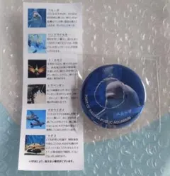 名古屋港水族館 水族館deクルッと寄付 返礼品 缶バッジ ベルーガ