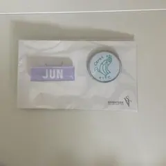 SEVENTEEN ジュン バッジ