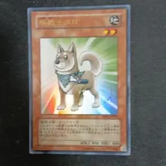 遊戯王 柴戦士タロ TDGS-JP009