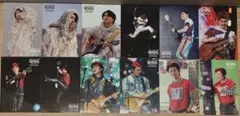 Mrs. GREEN APPLE SHADOWSフォトカード12枚セット若井滉斗