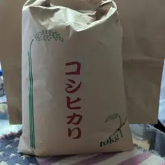 令和7年産 徳島県産コシヒカリ 玄米 15kg （15.2k） - メルカリ