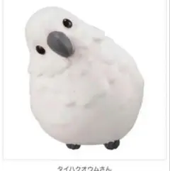 ★ガチャ★バンダイ　ハグコット　こーどの鳥さん３　タイハクオウムさん