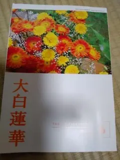 大白蓮華 2026年 6月号 No.920