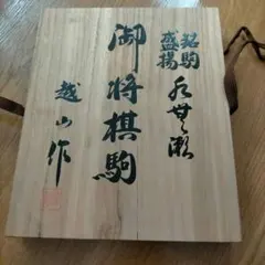 Item thumbnail for item 2575f5a1-e8af-4e97-a4b9-3de4cda5022f