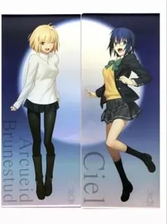 月姫 等身大 タペストリー アルクェイド シエル 2種セット き*る様 月姫 等身大 タペストリー アルクェイド シエル 2種セット