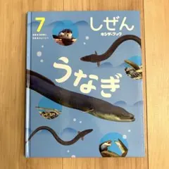 しぜん キンダーブック2025年7月号 うなぎ - メルカリ