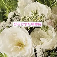 ぴろけすた様 リクエスト 3点 まとめ商品