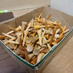 Item thumbnail for item a6e1e539-8dc4-4297-9bdf-3f8893ac91c1