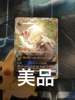 シルヴァディGX SA 美品