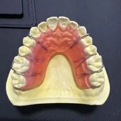 2026年最新】矯正加速装置の人気アイテム - メルカリ