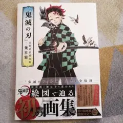 『鬼滅の刃』吾峠呼世晴画集―幾星霜―