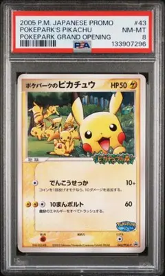 新品未開封品 プロモ ポケパークのピカチュウ043/PCG-P - メルカリ