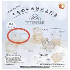 うちの子のけだまだま ガチャ ポメラニアン