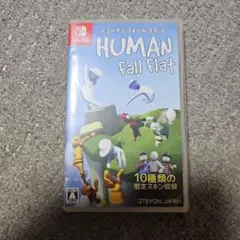 Nintendo Switch Human Fall Flat