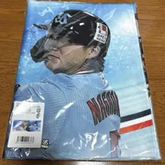 Item thumbnail for item f0faac9b-4032-4e20-9534-fb2c3315f373