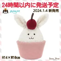 2026年最新】jellycat ケーキの人気アイテム - メルカリ