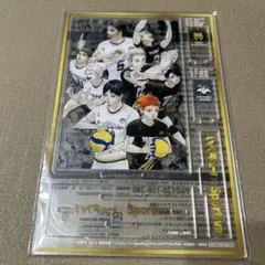ア*ー様 ハイキュー!! Sportiva スペシャルアクリルパネル Vol.3