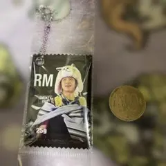 RM キーホルダー