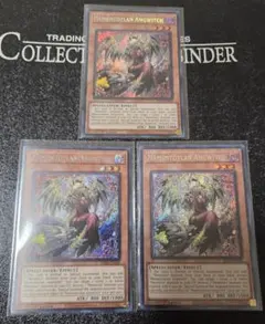 遊戯王 メメント・エンウィッチ スーパーレア 3枚 - メルカリ
