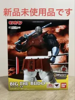 ビッグザ武道 ビッグ・ザ・武道 (びっぐざぶどう)とは【ピクシブ百科事典】