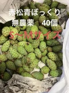 数量限定特価！】富山県産 無農薬黒松赤松青ぼっくり500g - メルカリ