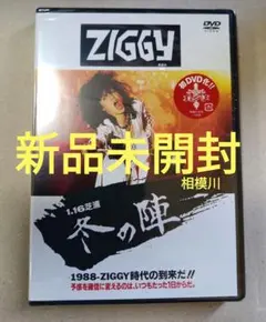 2025年最新】ziggy dvdの人気アイテム - メルカリ