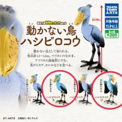 動かない鳥 ハシビロコウ カプセルトイ フィギュア ガチャ