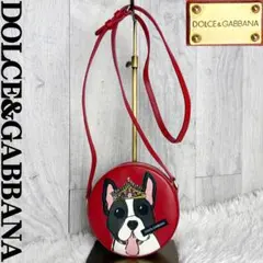 希少♡DOLCE&GABBANA ドルチェ＆ガッバーナ ドッグ ショルダーバッグのサムネイル