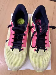 NIKE ナイキ エア ズーム ペガサス 40 プレミアム 25.5cm