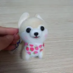 AMUSE 豆しば三兄弟 ぬいぐるみ マスコット 弟子4のサムネイル