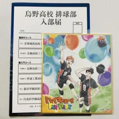 ハイキュー!! ファンパーク FAN PARK 特典 ミニ色紙 入部届 各1点