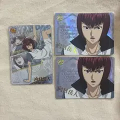 向日岳人 セット