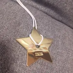 Dior 星型チャームネックレス Dior 星型チャーム ネックレス