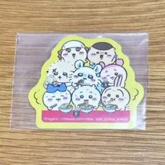 さちまる様 リクエスト 2点 まとめ商品