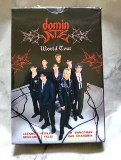 Stray Kidsカード　５５枚