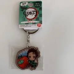 【未開封・新品】鬼滅の刃 ご当地キーホルダー 竈門炭治郎