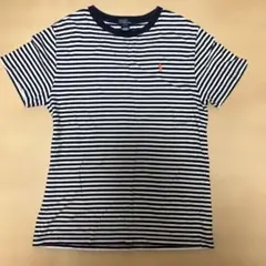 Polo Ralph Lauren ストライプ Tシャツ　ネイビー白