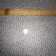 Item thumbnail for item 54ee28eb-ce6f-4fe6-a591-2e66e0306b1f