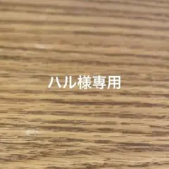 ハル様専用ページ