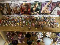 ワンピの実　まとめ売り