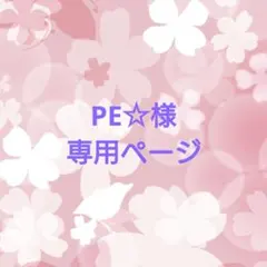 PE☆様専用ページ