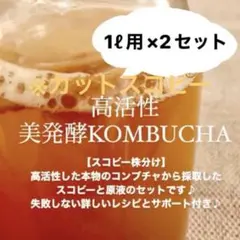コンブチャを繰り返し作れます※カットスコビー　コンブチャ2L用　紅茶きのこのサムネイル