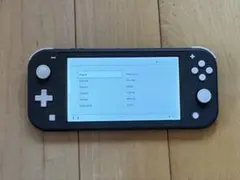 Nintendo Switch Lite 128GB microSDカード付