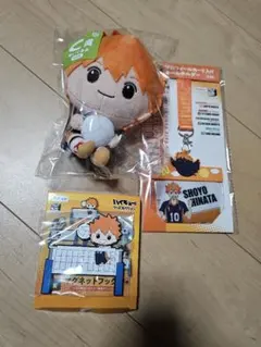 みんなのくじ　ハイキュー!!　日向翔陽セット