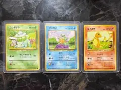 ポケモンカード ポケカ　旧裏　御三家　フシギダネ ゼニガメ ヒトカゲ 3枚セット