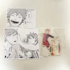 ハイキュー クロニクル 10th 日向翔陽