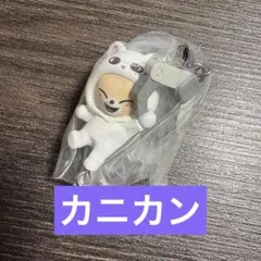 SKZOO つまんでつなげてますこっと vol.2 フォクシニー