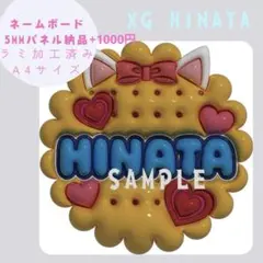 XG HINATA Cookie ネームボード A4サイズ