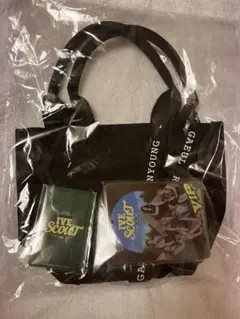 IVE SCOUT ファンコン アプグレ VIP特典