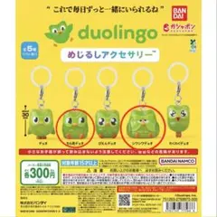 Duolingo めじるしアクセサリー ガチャ　ちら見デュオ　シワシワデュオ